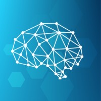 NorthBrains Analytics logo - Similar company to Bikham Academia