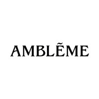 AMBLĒME logo - Similar company to Snasto - Digital Marketing