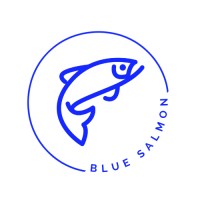 Blue Salmon Solutions logo - Similar company to Brickroad Studios