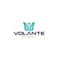 Volante Global logo - Similar company to Adeptive Llp