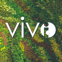Vivo Contracting Ltd.