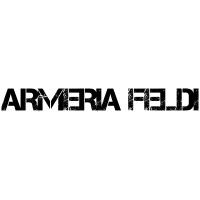 Armeria Feldi logo - Similar company to Armeria Roma