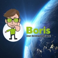 Boris logo - Similar company to Blue Code  .  Tech & Feel