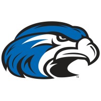 Hawk Cyber Security Solutions logo - Similar company to Js4Ti - Cybersecurity Solutions And Data Protection