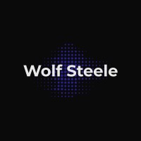 Wolf Steele logo - Similar company to Enet Solutions Inc.