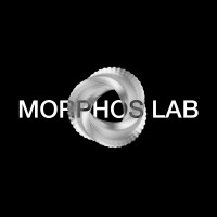 MORPHOS LAB logo - Similar company to Theca.Studio