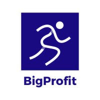 Big Profit - contabilidade & consultoria logo - Similar company to Kioje