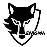 Team Enigma