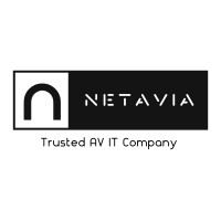 PT. Netavia Startech Indonesia logo - Similar company to Pt. Ananta Multitech Internusa