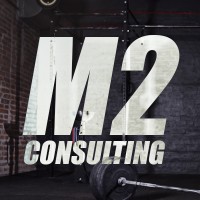 M2 Consulting logo - Similar company to M2 Consulting Services