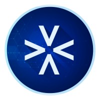 Varitus logo - Similar company to Soma Soluções Em T.I.