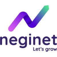 Neginet logo - Similar company to Fifth Dimension
