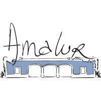 Amalur logo - Similar company to Plart Design