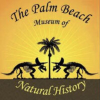 Palm Beach Museum Of Natural History Inc