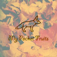 My Pocket Fruits logo - Similar company to Semele Ood