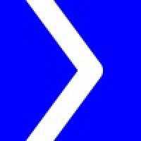 Bluenext Sailing Team logo - Similar company to Dolphin Srl