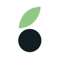 Mailberry logo - Similar company to Email Mastery