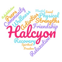 Halcyon Activity Center logo - Similar company to Technology Services Organization - Usmc