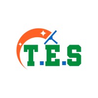 TES logo - Similar company to Empploy.Com