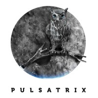 Pulsatrix Ltd logo - Similar company to Laboratorium
