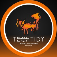 TechTidy logo - Similar company to Techtidy Consulting