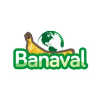 Banaval Trading S.A. logo - Similar company to Nuway Ag
