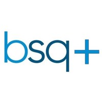Bsquare Plus International Consultants Pvt. Ltd. logo - Similar company to Kore Logix, Llc