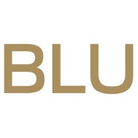 BLU / Real Estate logo - Similar company to Us Properties