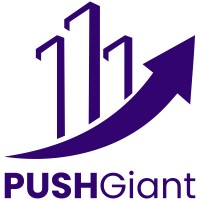 PUSHGiant logo - Similar company to Scale Agile Solutions