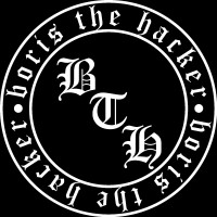Boris The Hacker logo - Similar company to Security Intelligence Llc. (Security Vision Brand)