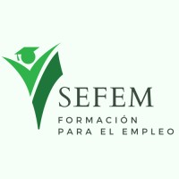 SEFEM logo - Similar company to Layo