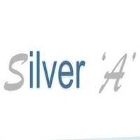 Silver A Power Transmissions logo - Similar company to Steenkamp Consulting Pty (Ltd)