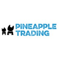 PINEAPPLE TRADING INTERNATIONAL logo - Similar company to Rmg