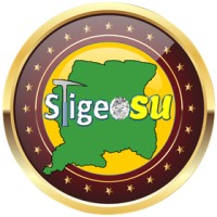 Stigeosu logo - Similar company to Otnv