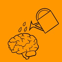 Psychedified logo - Similar company to Emotional Intelligence Learning Systems