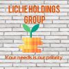 Liclie Holdings Group logo - Similar company to Altitude Business Advisory