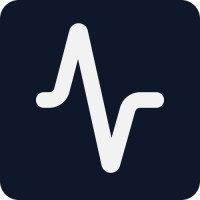 SEOPulser logo - Similar company to Concinnity Digital