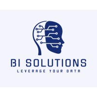 BI Solutions logo - Similar company to Proudsourceit