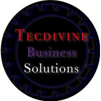 TecDivine Business Solutions logo - Similar company to Cfe Solutions