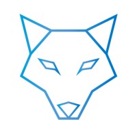 Wolfcoding logo - Similar company to N3Tcom Srl