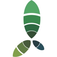 EyeSeeTea logo - Similar company to Solidlines