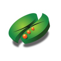 SSG Consulting logo - Similar company to Strategic Services Group