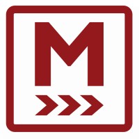 Momentum Visibility Training logo - Similar company to Lado International Institute