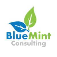 BlueMint Consulting logo - Similar company to Mi8