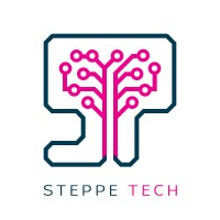 Steppe Tech logo - Similar company to Rashar
