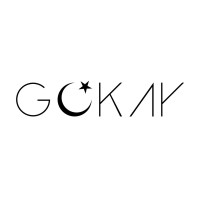 GÖKAY Team UAV logo - Similar company to Roderu Team