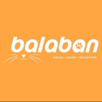 Balaban Media logo - Similar company to 46 Software Design