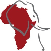 Dentists for Africa logo - Similar company to Bridge2Aid