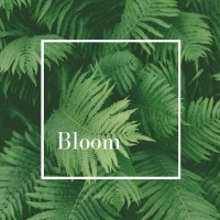 BLOOM - Studio de Méditation logo - Similar company to Womoon