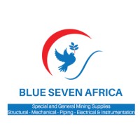 Blue Seven Africa logo - Similar company to Top Engineering Services